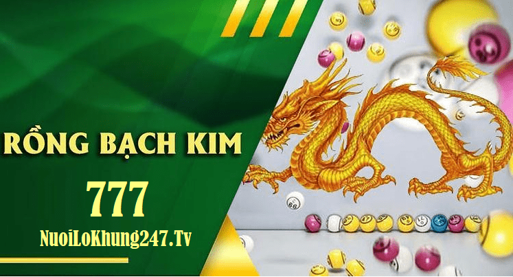 Soi Cầu Rồng Bạch Kim 247 - Giải Mã Bí Mật Của Thương Trường